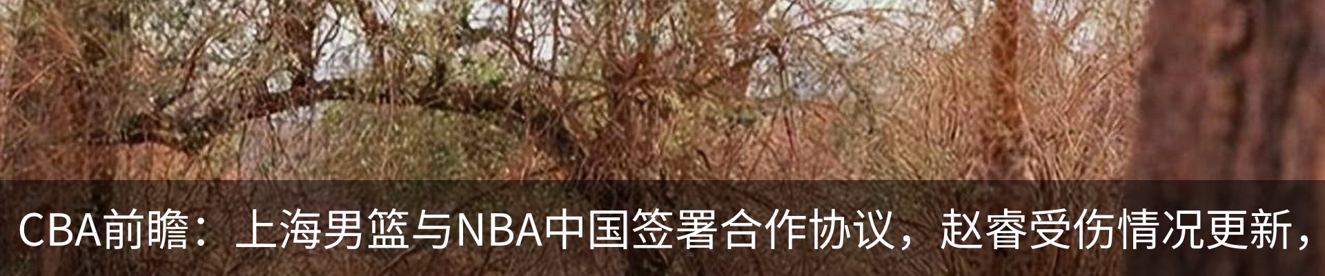 新闻动态